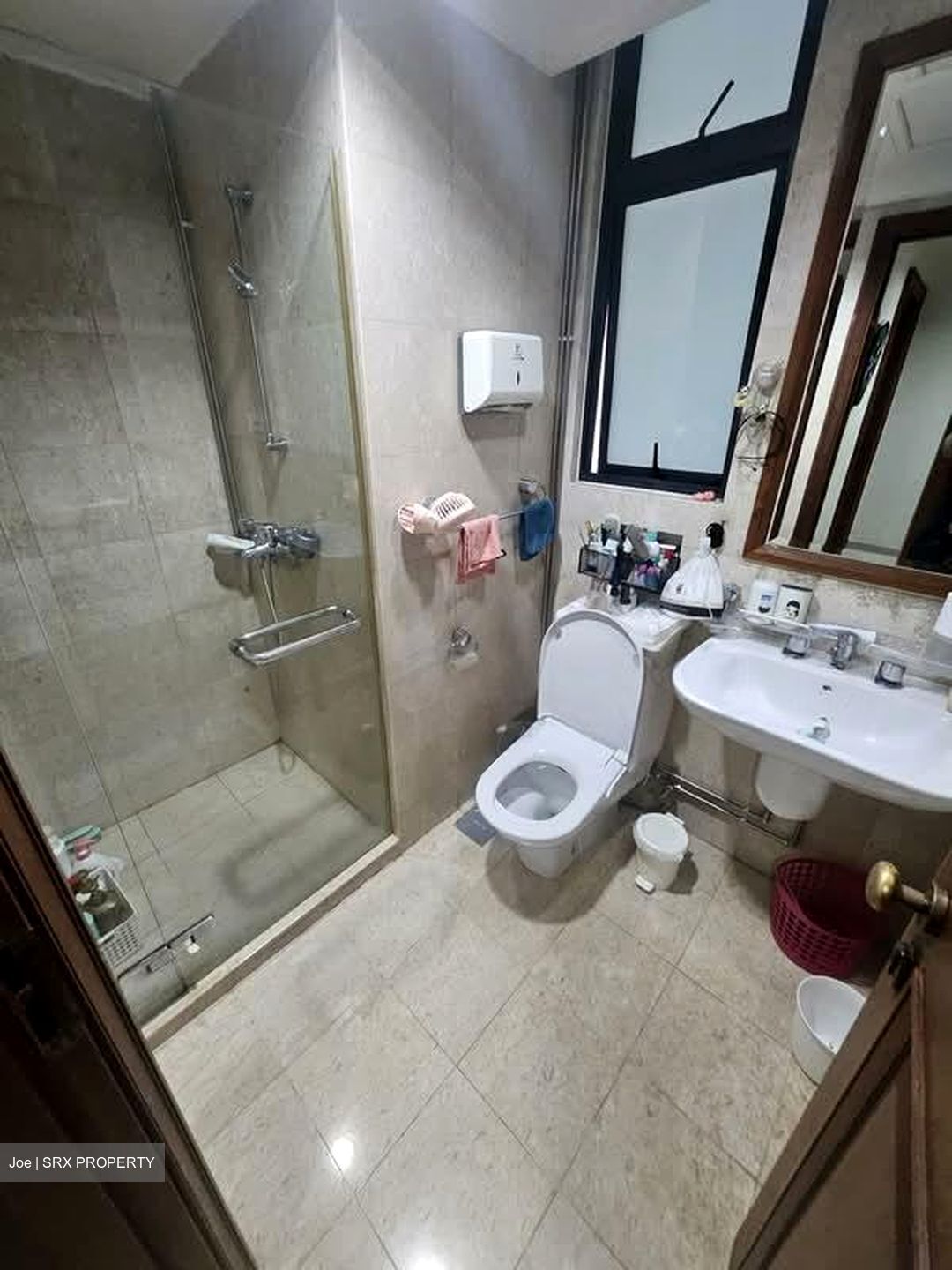 Valley Park (D10), Condominium #554711541